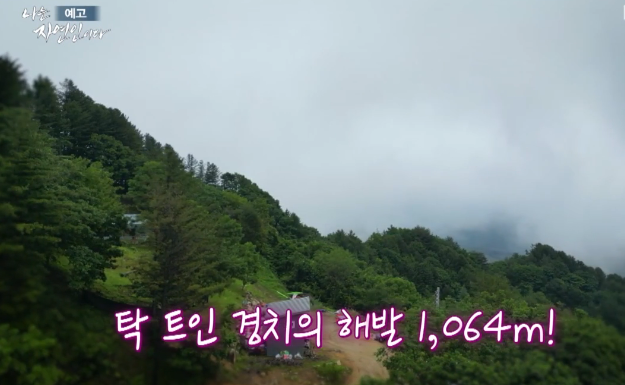 고산지대자연인