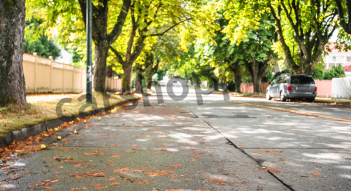 고속도로 교통상황 실시간 cctv