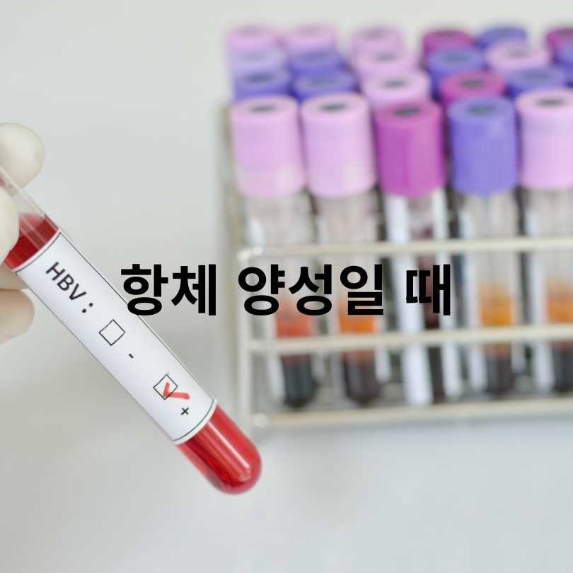 B형간염 항체 양성? 음성? 