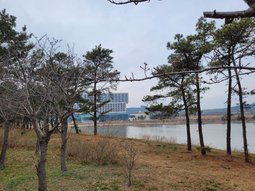 호텔 주변 숲과 산책로