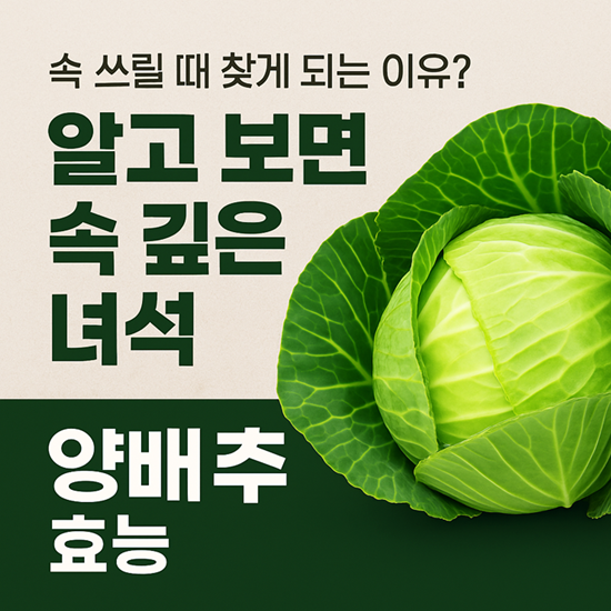 양배추 효능