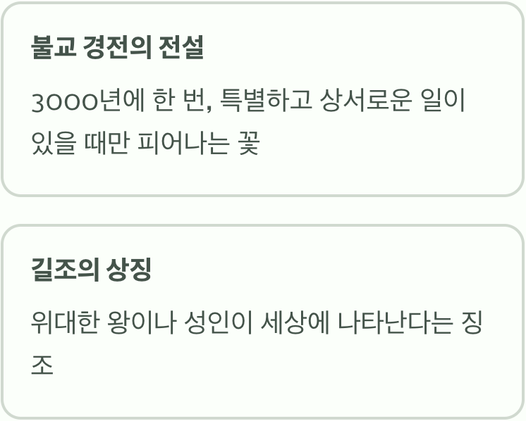 3000년의 기다림&amp;#44; 전설 속 우담바라
