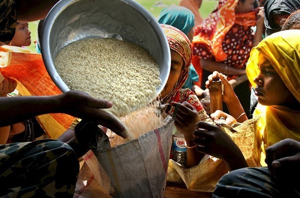 희소성의 법칙 식량 부족과 가격 폭등