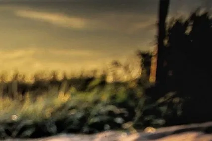 알라딘 뮤지컬 부산