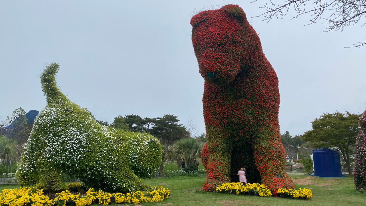 태안 가을꽃박람회에서 강아지와 고양이 토피어리