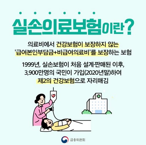 실손의료보험