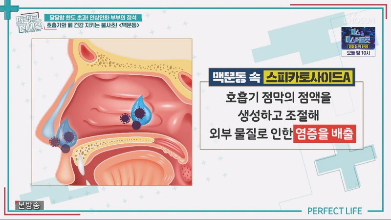 호흡기 및 폐건강에 좋은 백문동