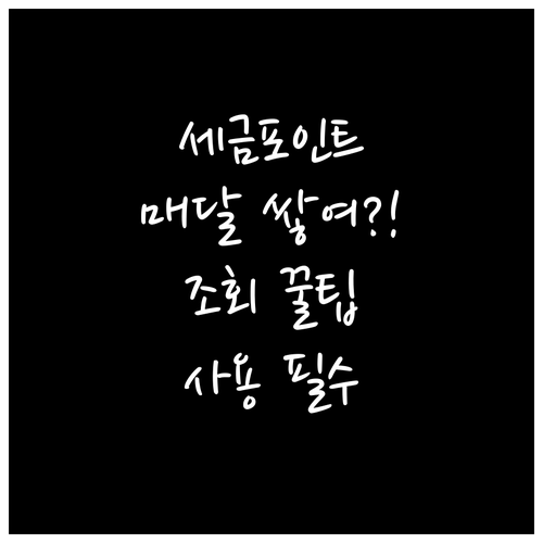 매달 쌓이는 세금포인트 조회 및 사용..