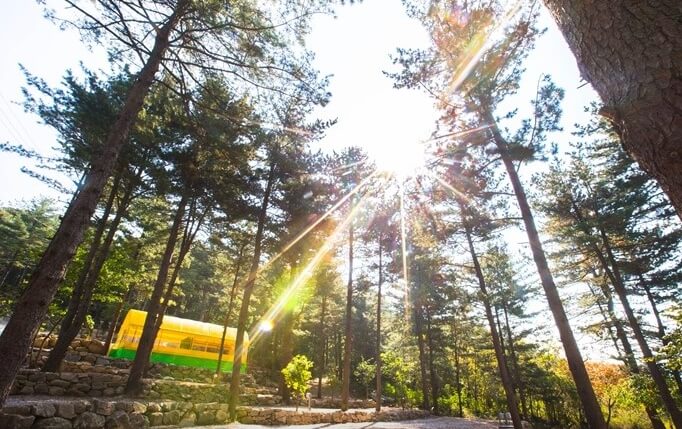 서울근교 캠핑장