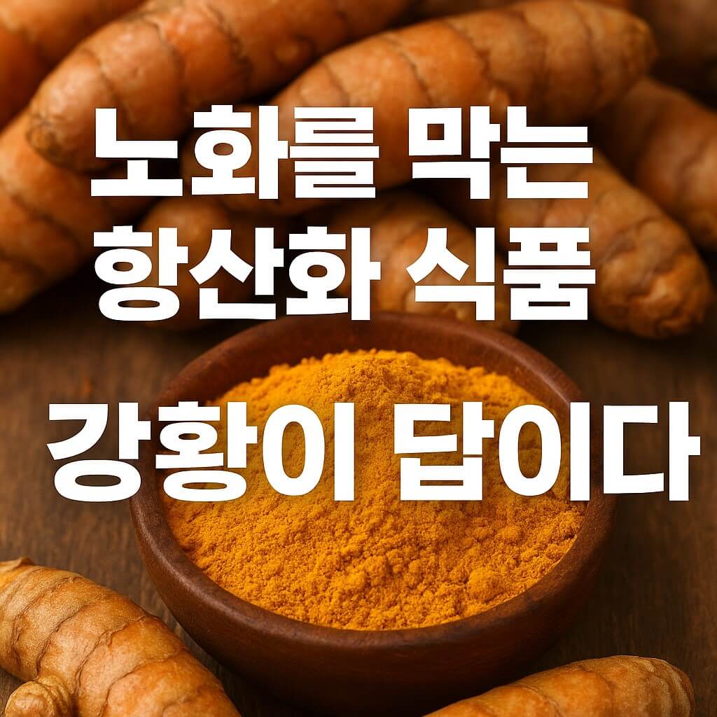 노화를 막는 항산화 식품, 강황이 답이다 썸네일 이미지
