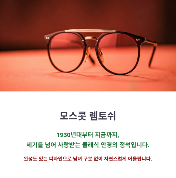 모스콧 렘토쉬, 어떤 안경일까