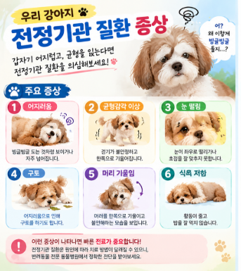 강아지 전정기관 질환 집에서 관리하는 법, 보호자가 꼭 챙겨야 할 것들