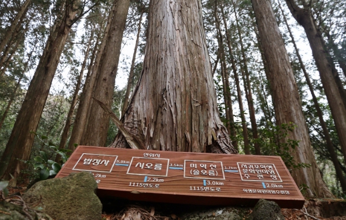 가을여행/11월/제주/감성/여행지