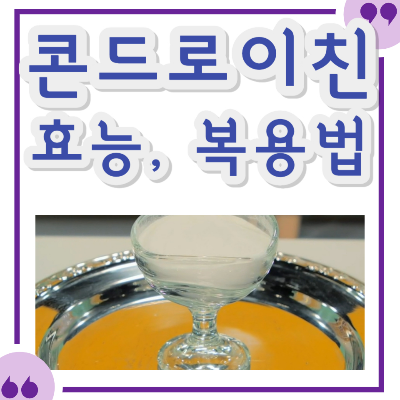 콘드로이친