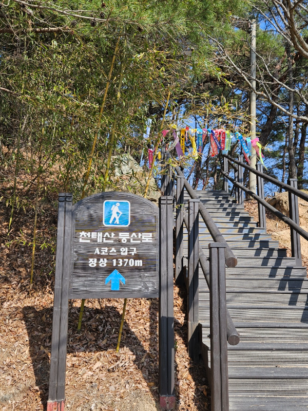 A코스 입구