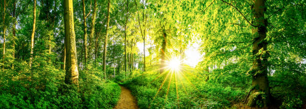 당신도 겪는 가짜 마음, 이를 알면 평온이 시작된다