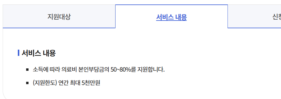 재난적의료비지원