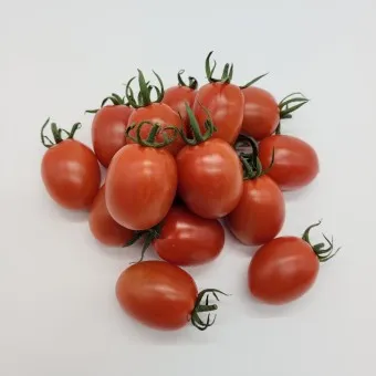 방울토마토 재배 방법_12