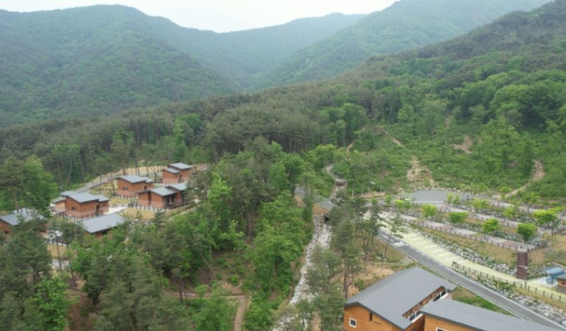 경북-자연휴양림