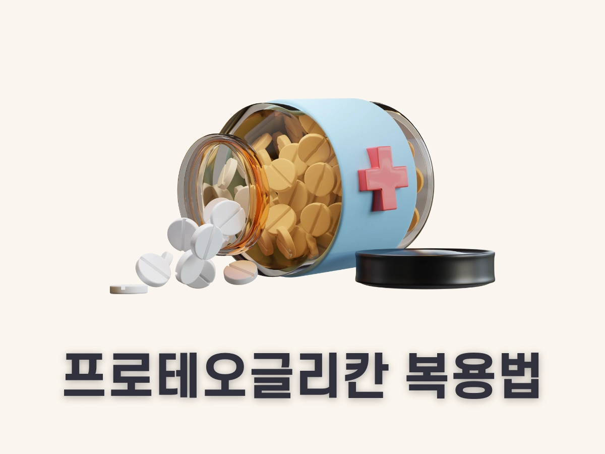프로테오글리칸 복용법