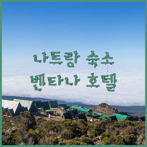 나트랑 여행의 필수 숙소 벤타나 호텔..