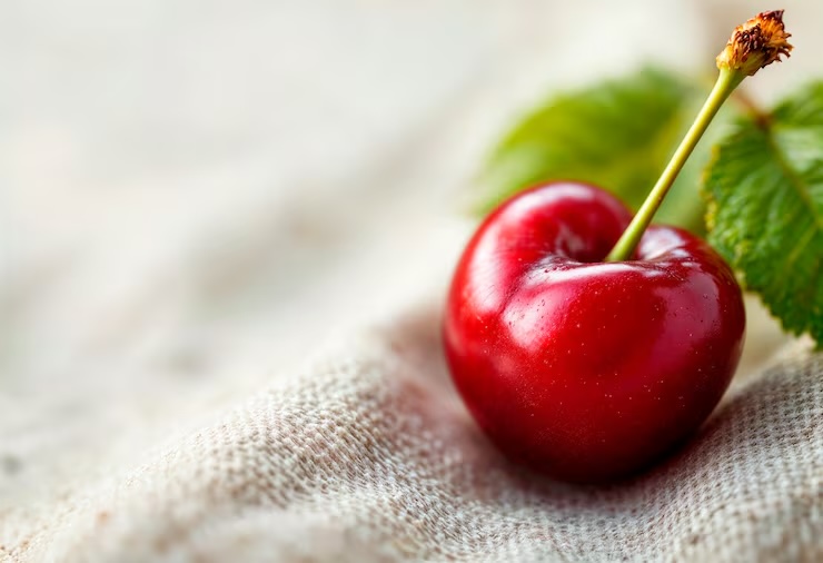 체리 효능