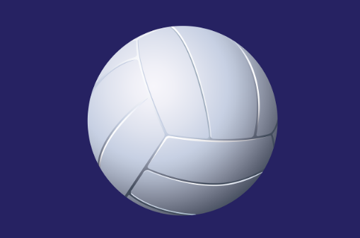 배구의 매력 및 역사