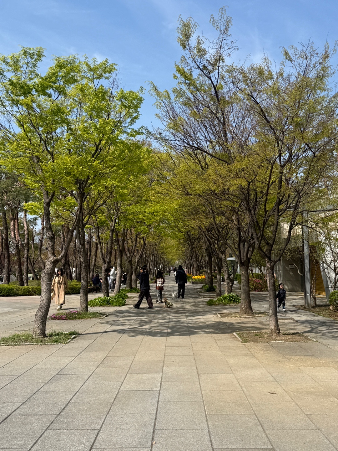 성남시청 산책로 유모차 이동 가능 킥보드 타기 좋은 길