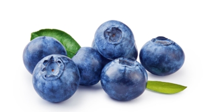 블루베리이미지