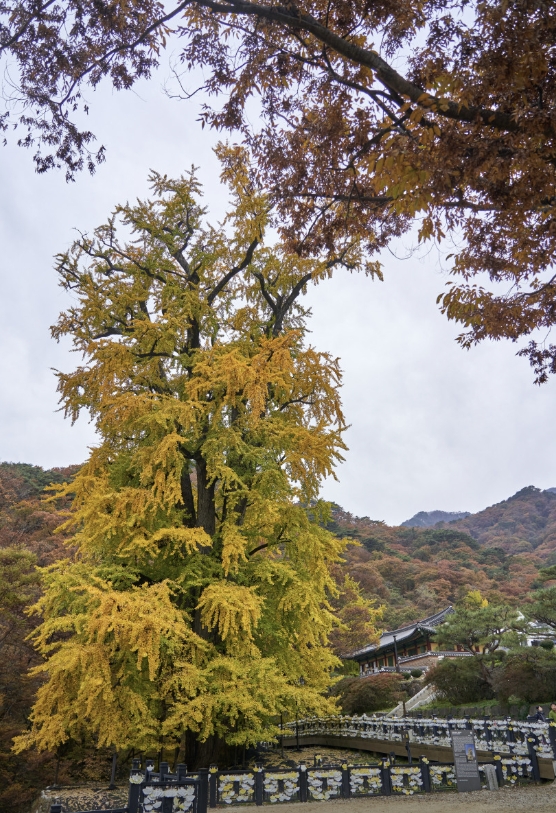양평 가 볼만한 곳 관련 사진