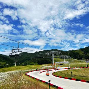 포천 루지월드 모습