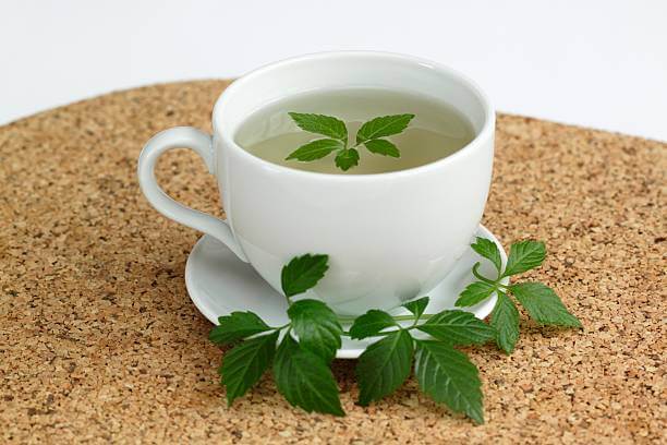 돌외잎 효능 다이어트를 해야 한다면? 젊을 때는 며칠만 굶어도 살이 빠지더니 이제는 며칠을 굶어도 살이 꿈쩍도 하지 않습니다. 나이 먹는 것도 서러운데 살까지 떠나려 하지 않네요. 요즘에는 다이어트 식품도 많지만 오래전부터 내려온 천연 다이어트 식품을 먹어볼까요? 돌외잎에는 어떤 놀라운 효능이 있는지 알아봤습니다.