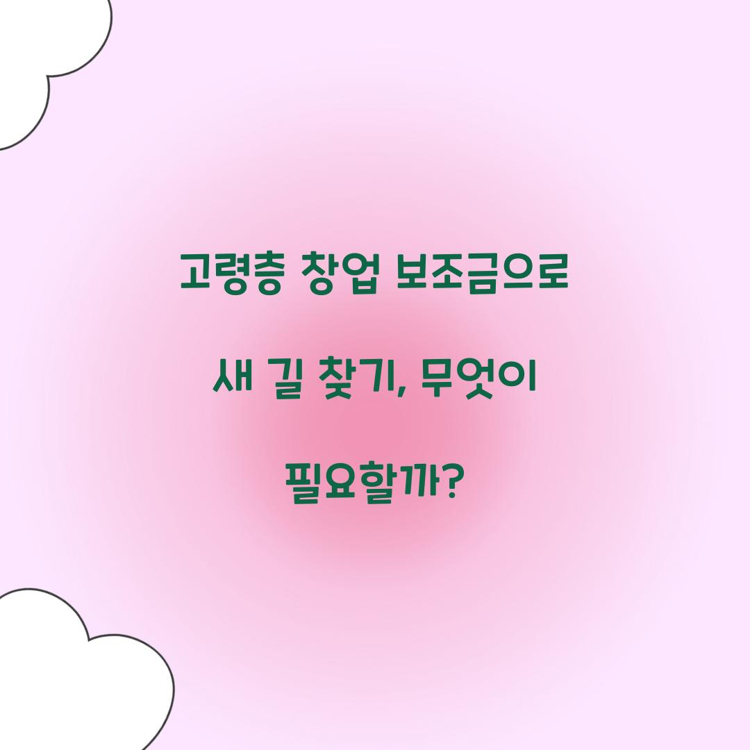 고령층 창업 보조금