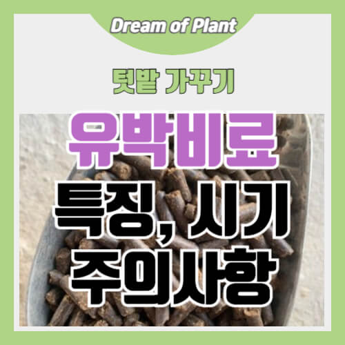 유박비료 특징과 주의사항 썸네일 이미지