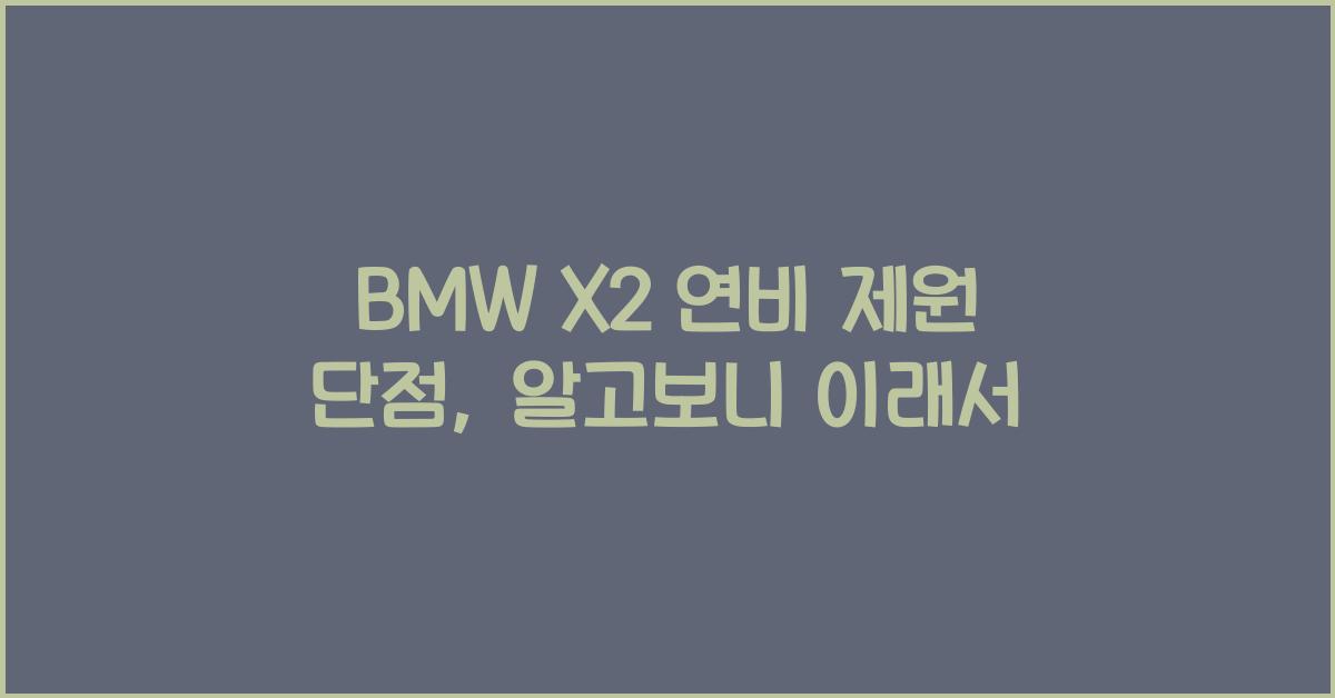BMW X2 연비 제원 단점