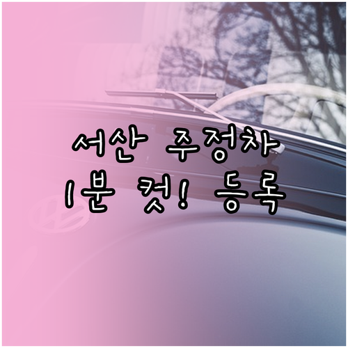 서산시 주정차 단속 알림 등록 차량 ..