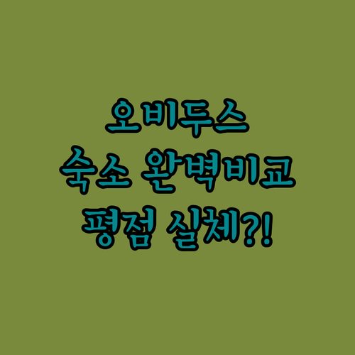 왕비의 마을 오비두스 성내외 숙소 장..