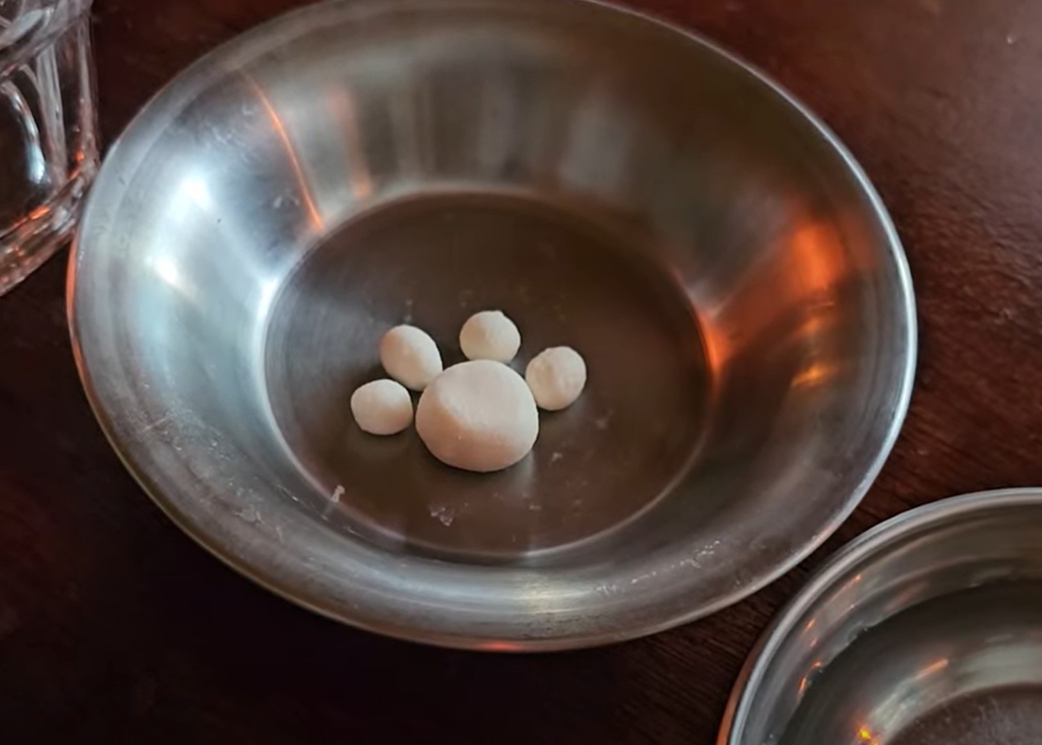 반려견 간식 리코타 치즈