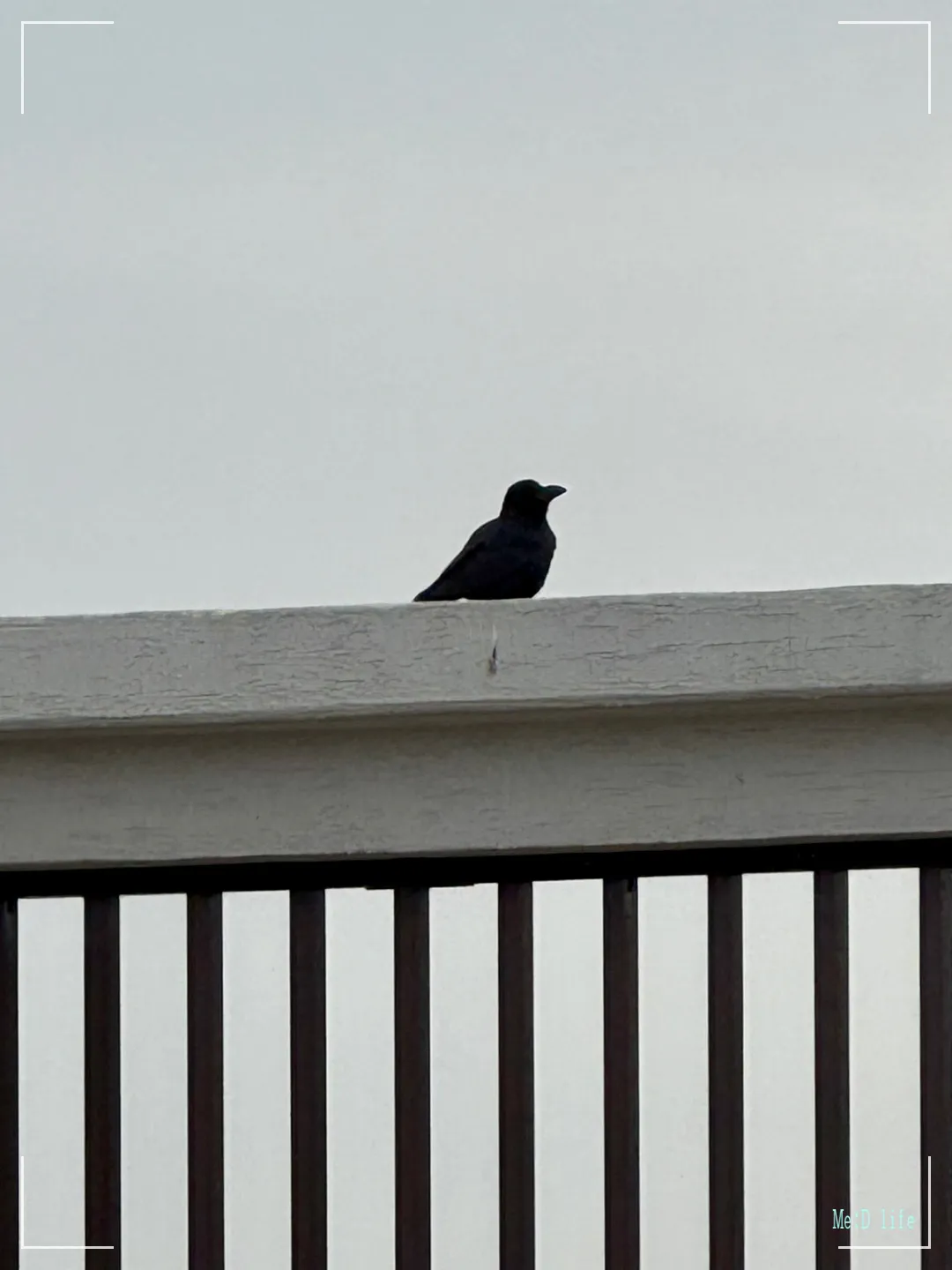 부산-송정-메르드로브호텔-탐복-모던-인피니티풀-수영장-자쿠지-스위트룸-펜트하우스-까마귀