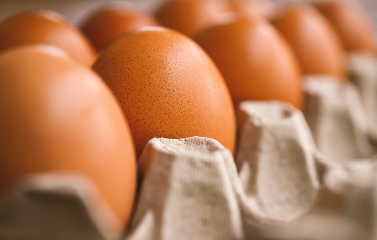 계란-백란-황란-청란-영양소