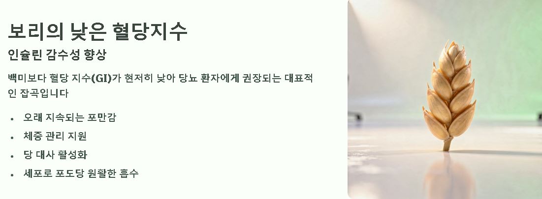 당뇨에 좋은 잡곡 종류