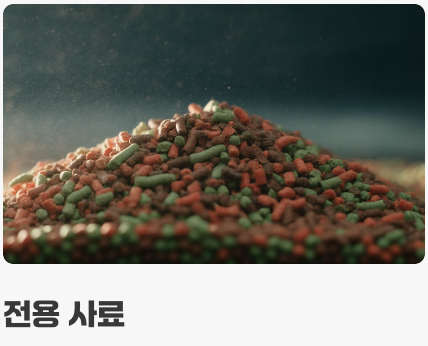 먹이 - '영양 만점' 특식이 필요해요