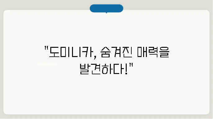 도미니카 공화국의 수도, 문화, 특산물