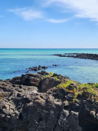 제주 숙박 예약 사이트_16