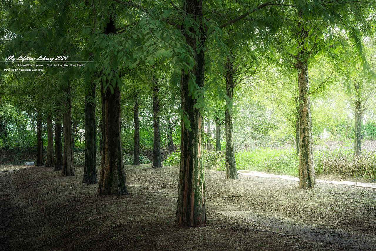 아산 세계꽃식물원 꽃