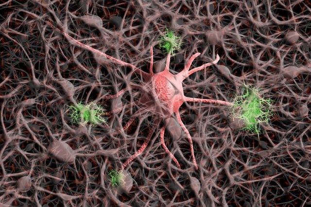 nerve-cells
