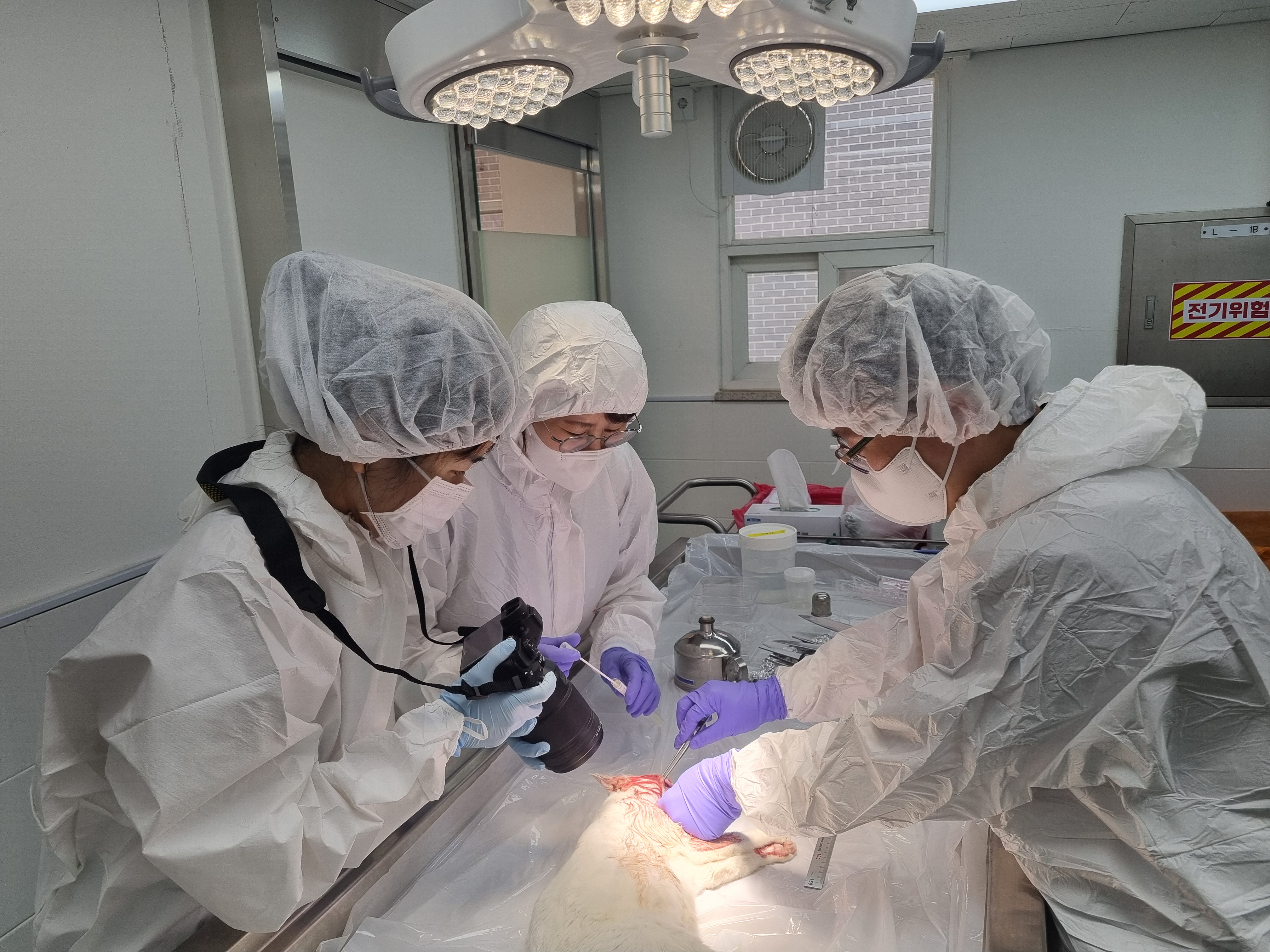 경기도 수의법의학센터