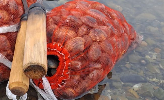 내리어촌계 체험마을