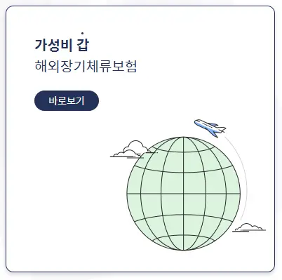 보험 비교