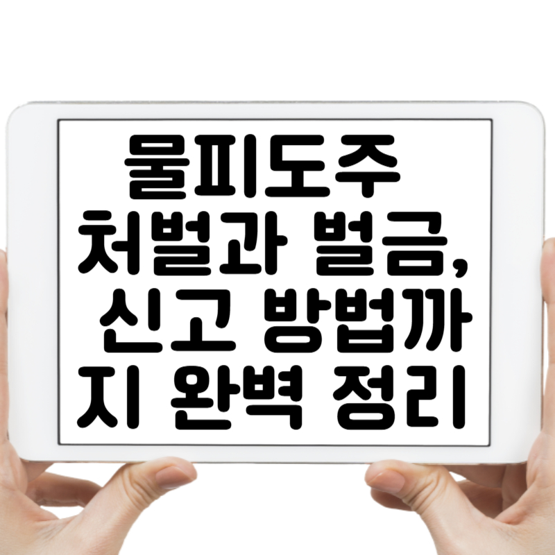 물피도주 처벌과 벌금, 이런 경우 어떻게 될까 신고 방법까지 완벽 정리